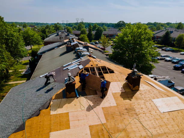24/7 Emergency Roof Inspection experts in Ward, SC